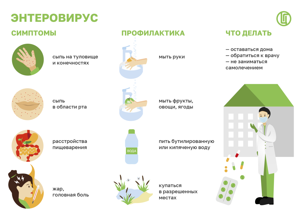 Энтеровирус.png