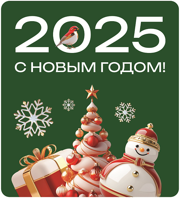 График работы в период празднования Нового 2025 года и Рождества